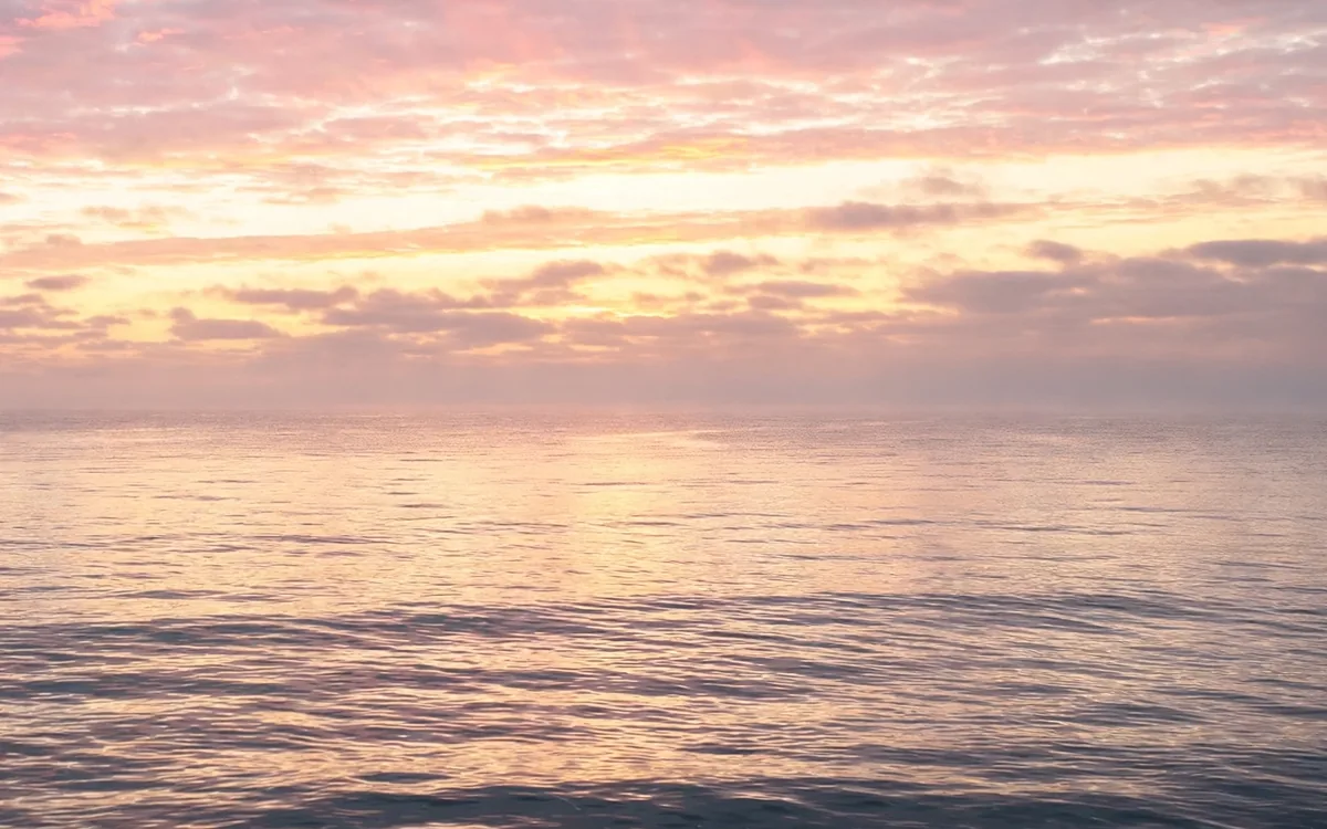 Calm ocean water under a soft pink and gold dawn sky