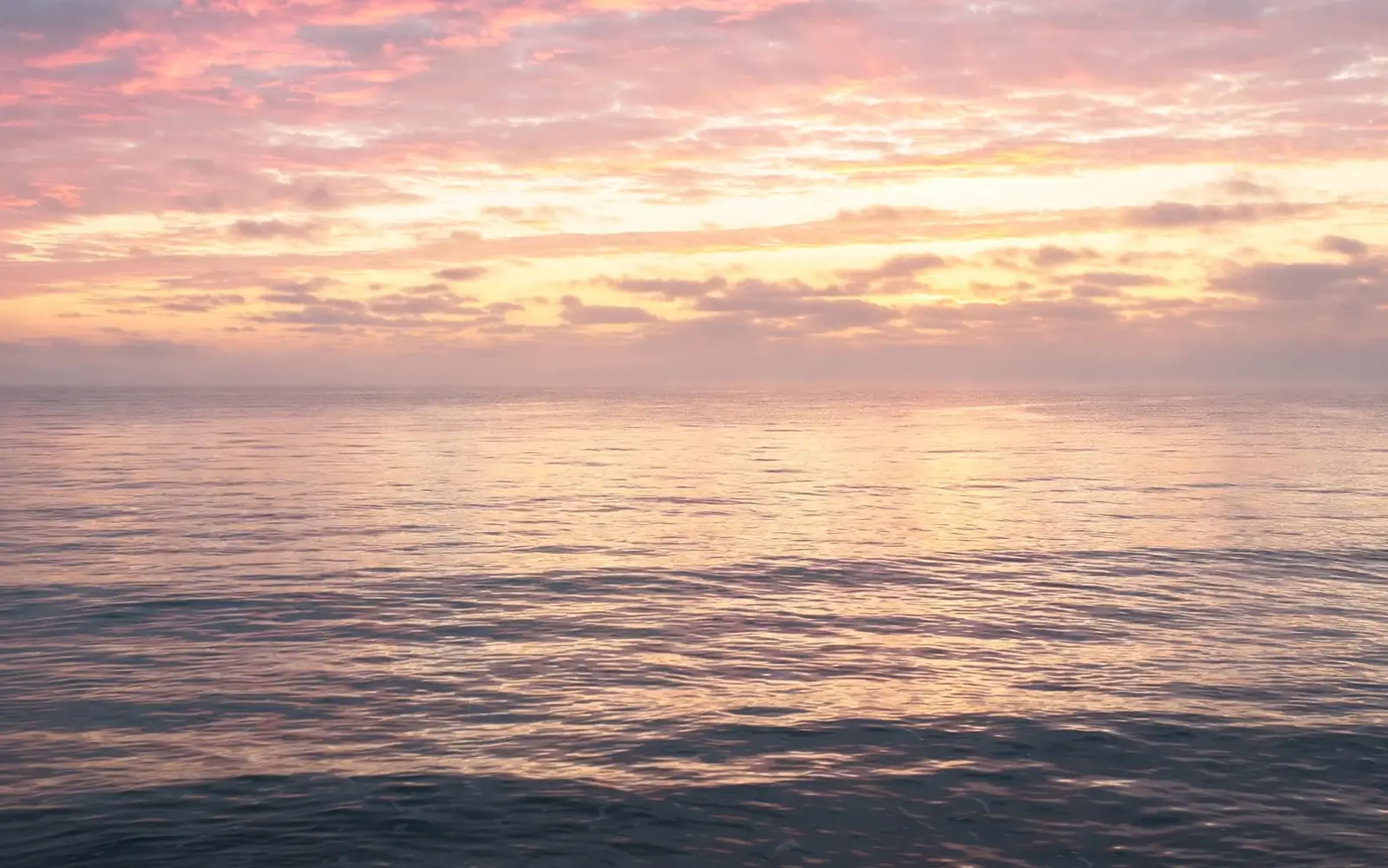 A calm ocean horizon at dawn with soft pink and gold light
