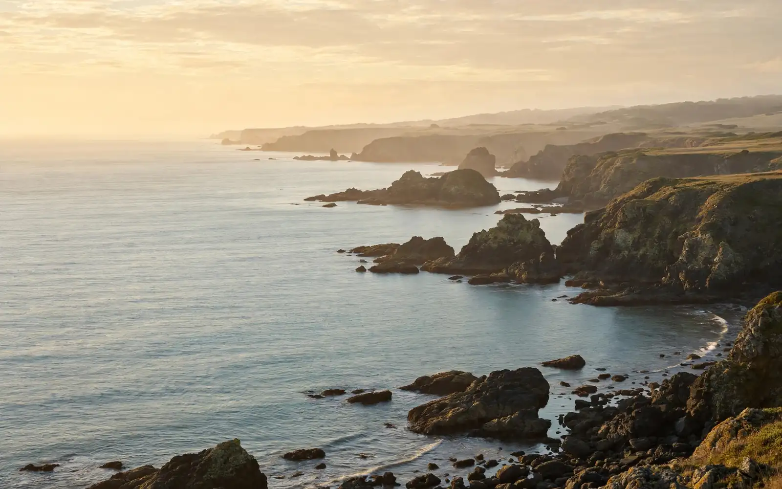 A rugged Pacific coastline with a calm sea in soft morning light